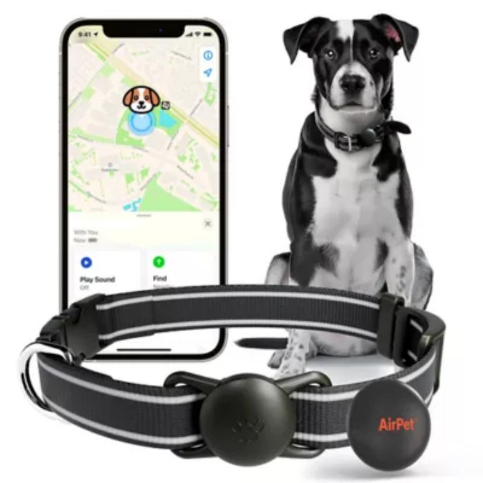 Air Tag for Dog? What Pet Tracking Searches Reveal About Market Demand